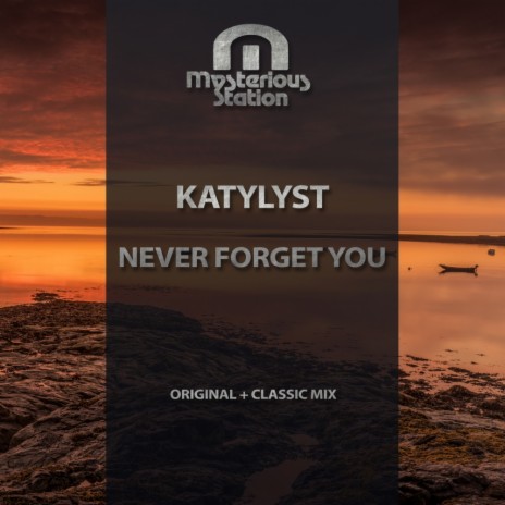 Never Forget You (Classic Mix) | Boomplay Music