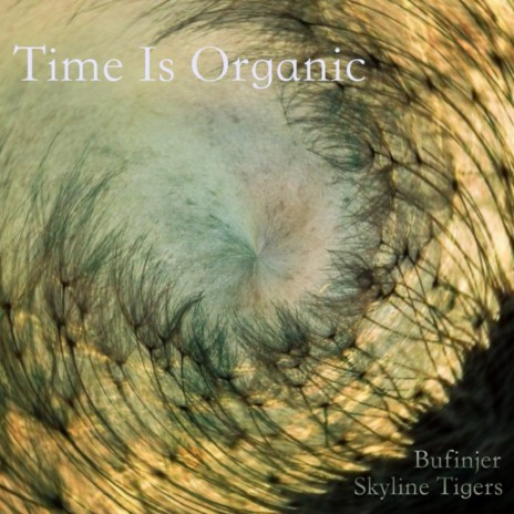 Time is Organic ft. Skyline Tigers | Boomplay Music