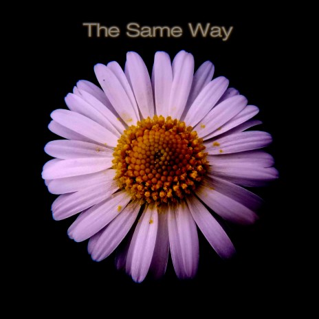 The Same Way | Boomplay Music