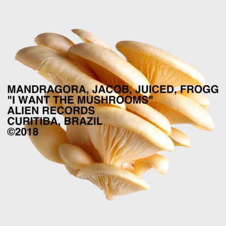 I Want The Mushrooms (Original Mix) ft. Jacob, Juiced & Frogg