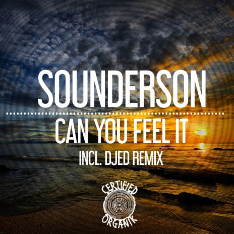 Can You Feel It (Djed Remix)
