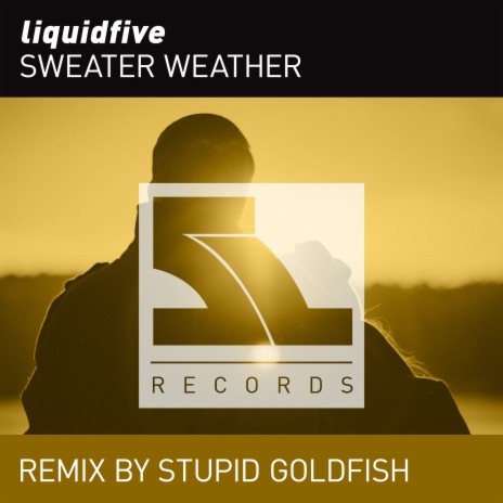 Sweater Weather (Stupid Goldfish Remix) | Boomplay Music