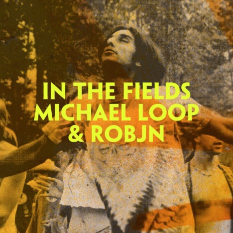 In the Fields ft. Michael Loop | Boomplay Music