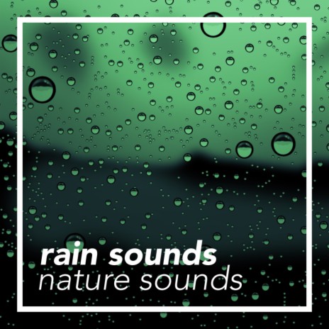 Wild Rain & Thunder (Original Mix) ft. Nature Sounds