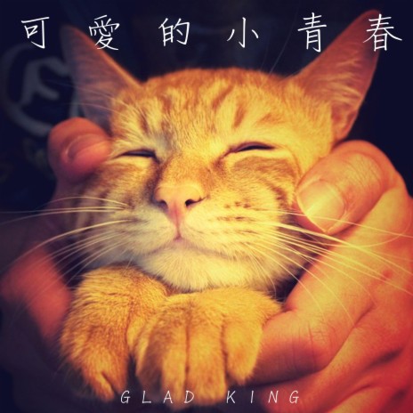 MY CAT-Taishan