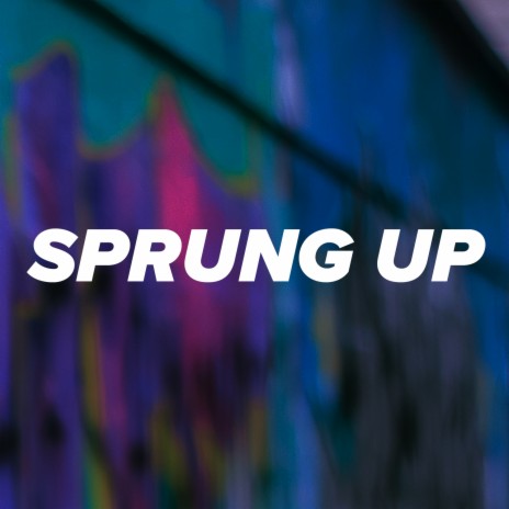 Sprung Up | Boomplay Music