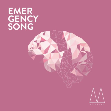 Emergency Song | Boomplay Music