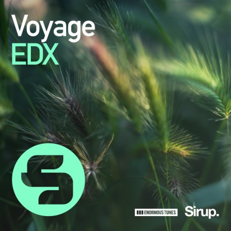 Voyage | Boomplay Music