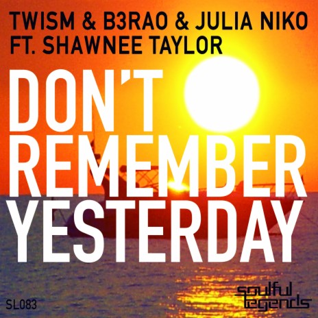 Don't Remember Yesterday (Radio Edit) ft. B3RAO, Julia Niko & Shawnee Taylor | Boomplay Music