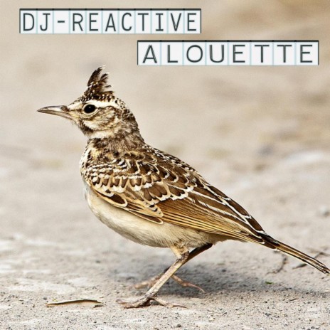 Alouette (Original Mix) | Boomplay Music