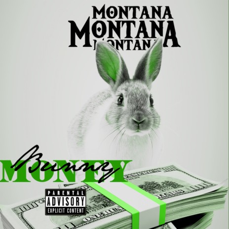 Bunny Money | Boomplay Music