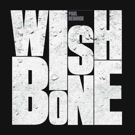 The Ballad of Wishbone | Boomplay Music