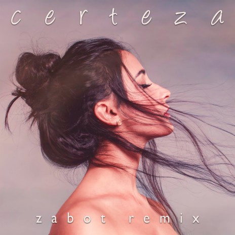 Certeza - Zabot Remix ft. Zabot | Boomplay Music