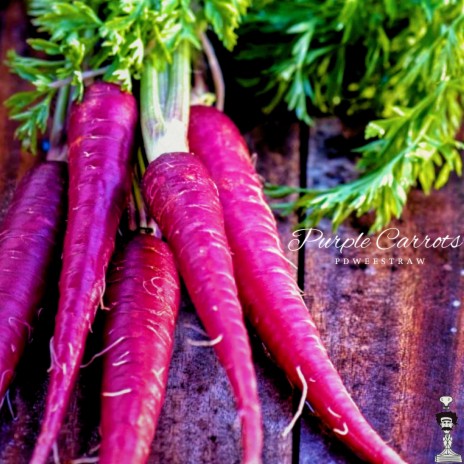 Purple Carrots | Boomplay Music