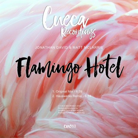 Flamingo Hotel (Hauswerks Remix) ft. Matt McLarrie