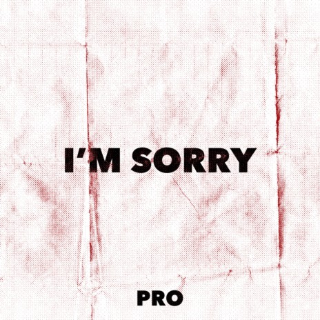 I'm Sorry | Boomplay Music