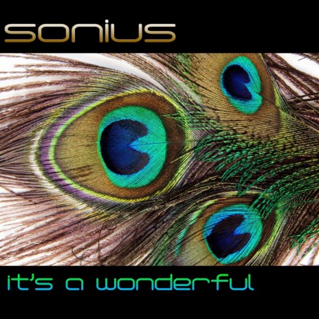 It's A Wonderful (Original Mix)