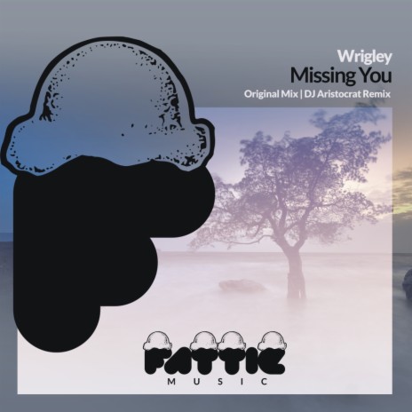 Missing You (Radio Edit) | Boomplay Music