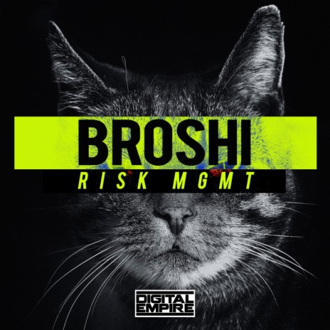 Risk MGMT (Original Mix) | Boomplay Music