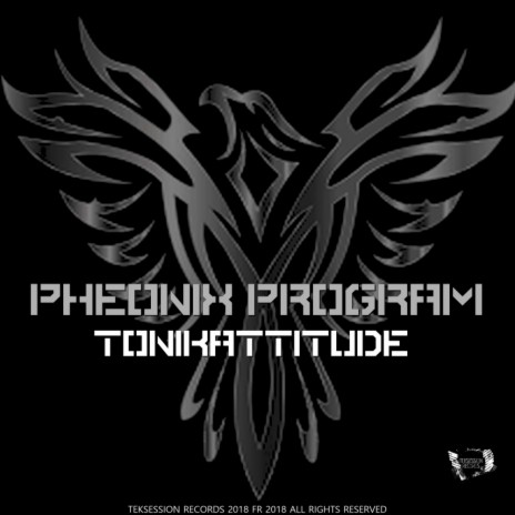 Pheonix Program (Original Mix)