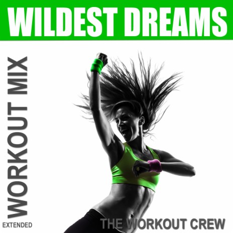 Wildest Dreams (Extended Workout Mix Originally Performed by Taylor Swift) | Boomplay Music