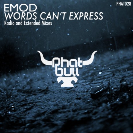 Words Can't Express (Extended Mix) | Boomplay Music