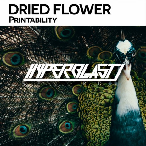 Printability (Original Mix)