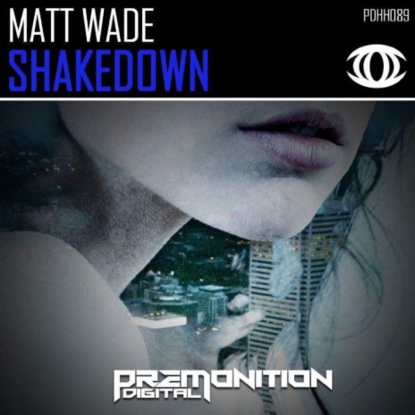 Shakedown (Original Mix)