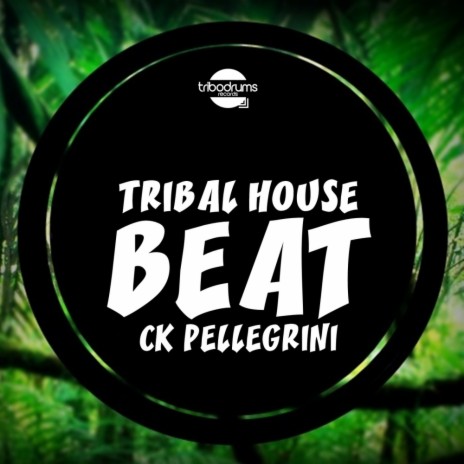 Tribal House Beat (Original Mix)