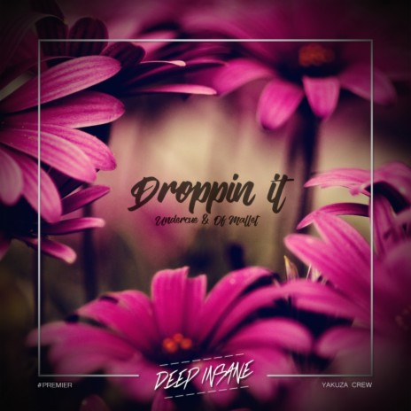 Droppin It (Original Mix) ft. Of Mallet | Boomplay Music