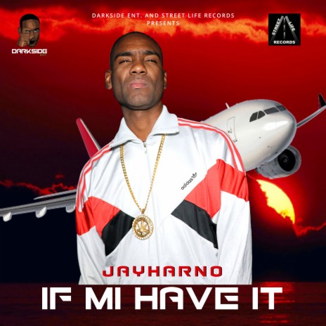 If Mi Have It | Boomplay Music