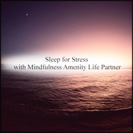 Asphalt & Mindfulness (Original Mix)