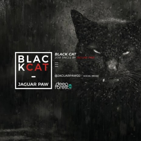 Black Cat (Original Mix)