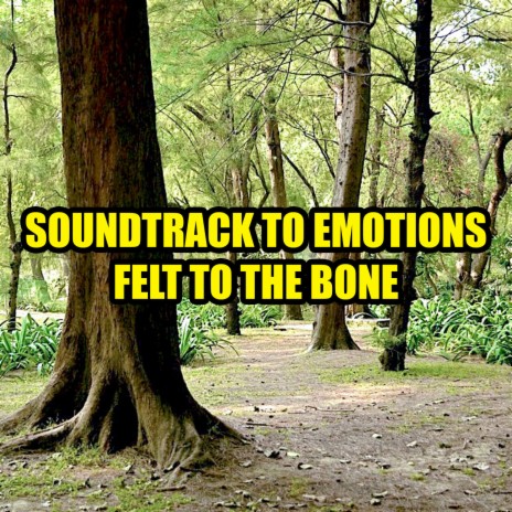 Soundtrack to Emotions Felt to the Bone ft. Kunal Roy | Boomplay Music