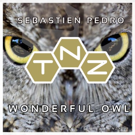 Wonderful Owl (Original Mix)