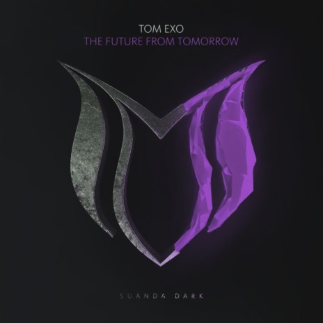 The Future From Tomorrow (Original Mix) | Boomplay Music