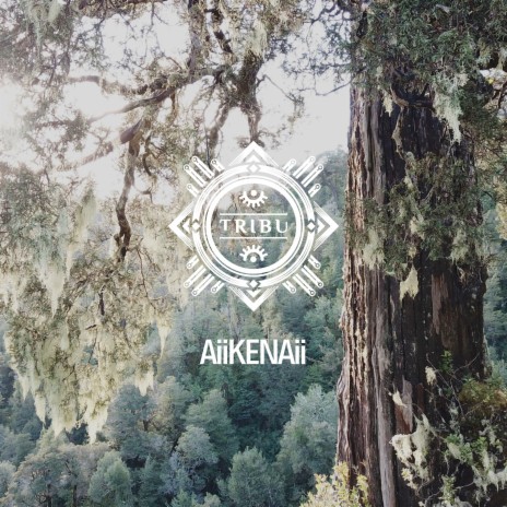 Aiikenaii | Boomplay Music