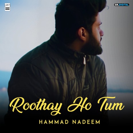 Roothay Ho Tum | Boomplay Music