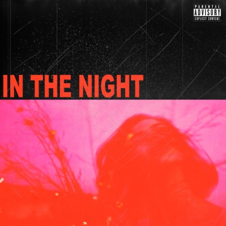 In The Night | Boomplay Music