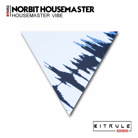 Housemaster Vibe (Original Mix) | Boomplay Music