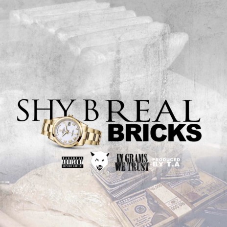 Real Bricks | Boomplay Music