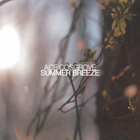 Summer Breeze | Boomplay Music