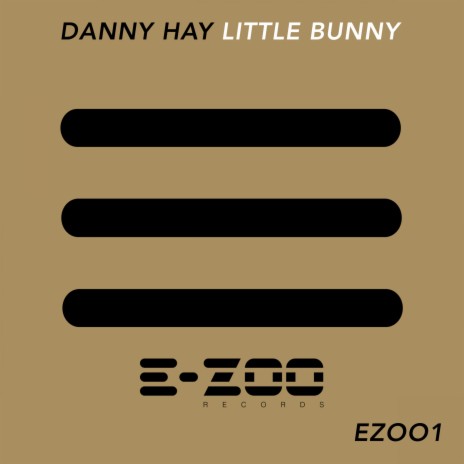 Little Bunny | Boomplay Music