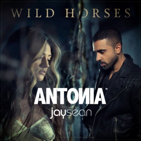 Wild Horses ft. Jay Sean | Boomplay Music