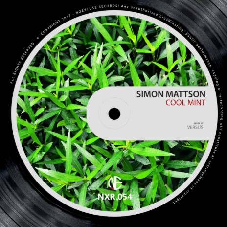 Cool Mint (Versus Remix) | Boomplay Music