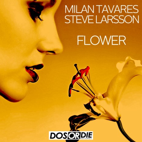 Flower (Radio Mix) ft. Steve Larsson | Boomplay Music