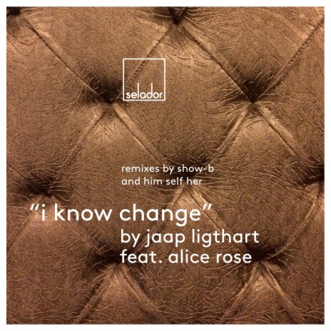 I Know Change (Him_Self_Her Remix) ft. Alice Rose | Boomplay Music