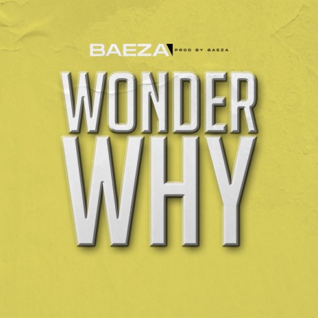 Wonder Why | Boomplay Music