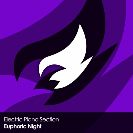 Euphoric Night (Original Mix) | Boomplay Music