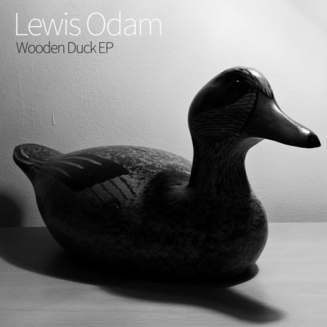 Wooden Duck (Original Mix) | Boomplay Music